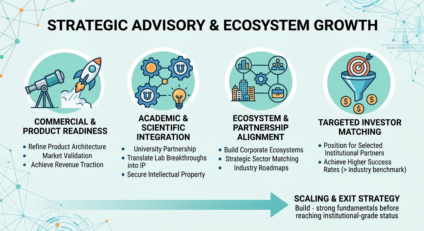 Strategic Advisory Beyond Traditional Venture Capital for Scale-Ups and Research Spin-Outs France